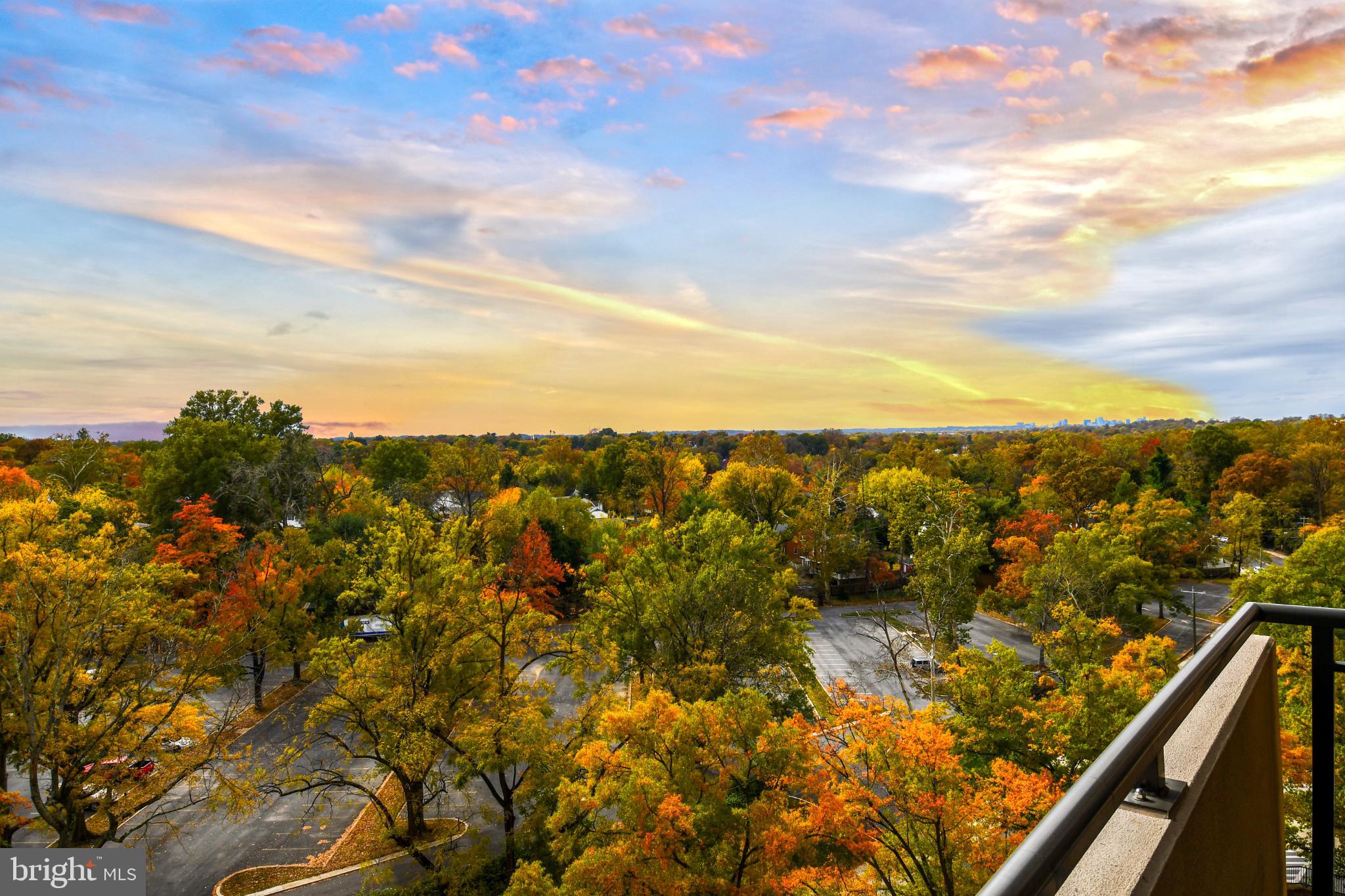 4620 N PARK AVENUE 1003W