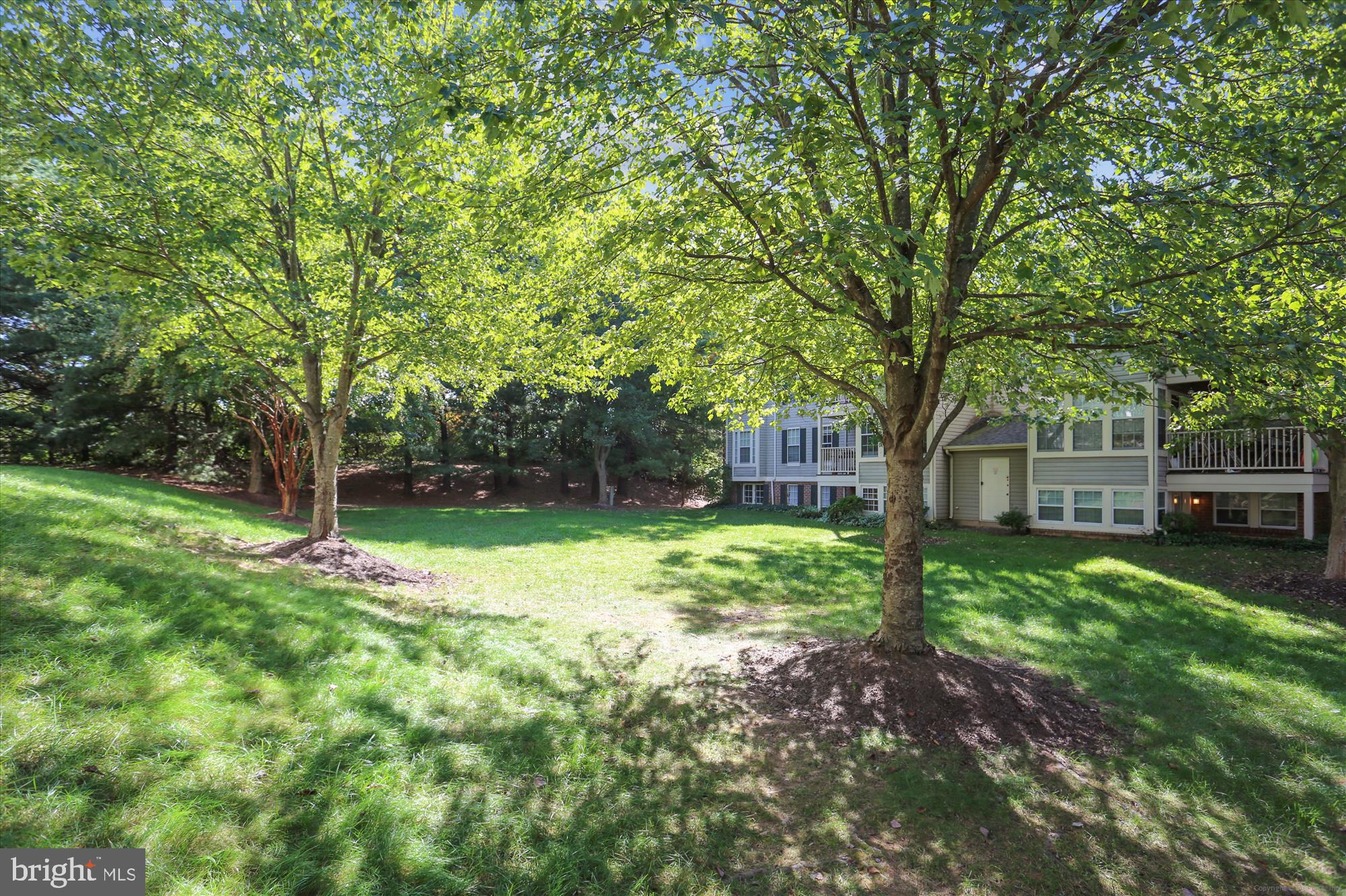 13114 BRIARCLIFF TERR 407