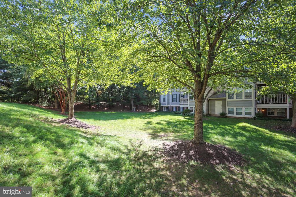 13114 BRIARCLIFF TERR 407
