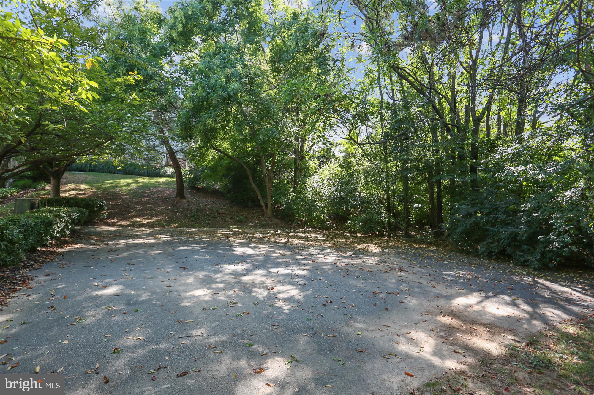 13114 BRIARCLIFF TERR 407