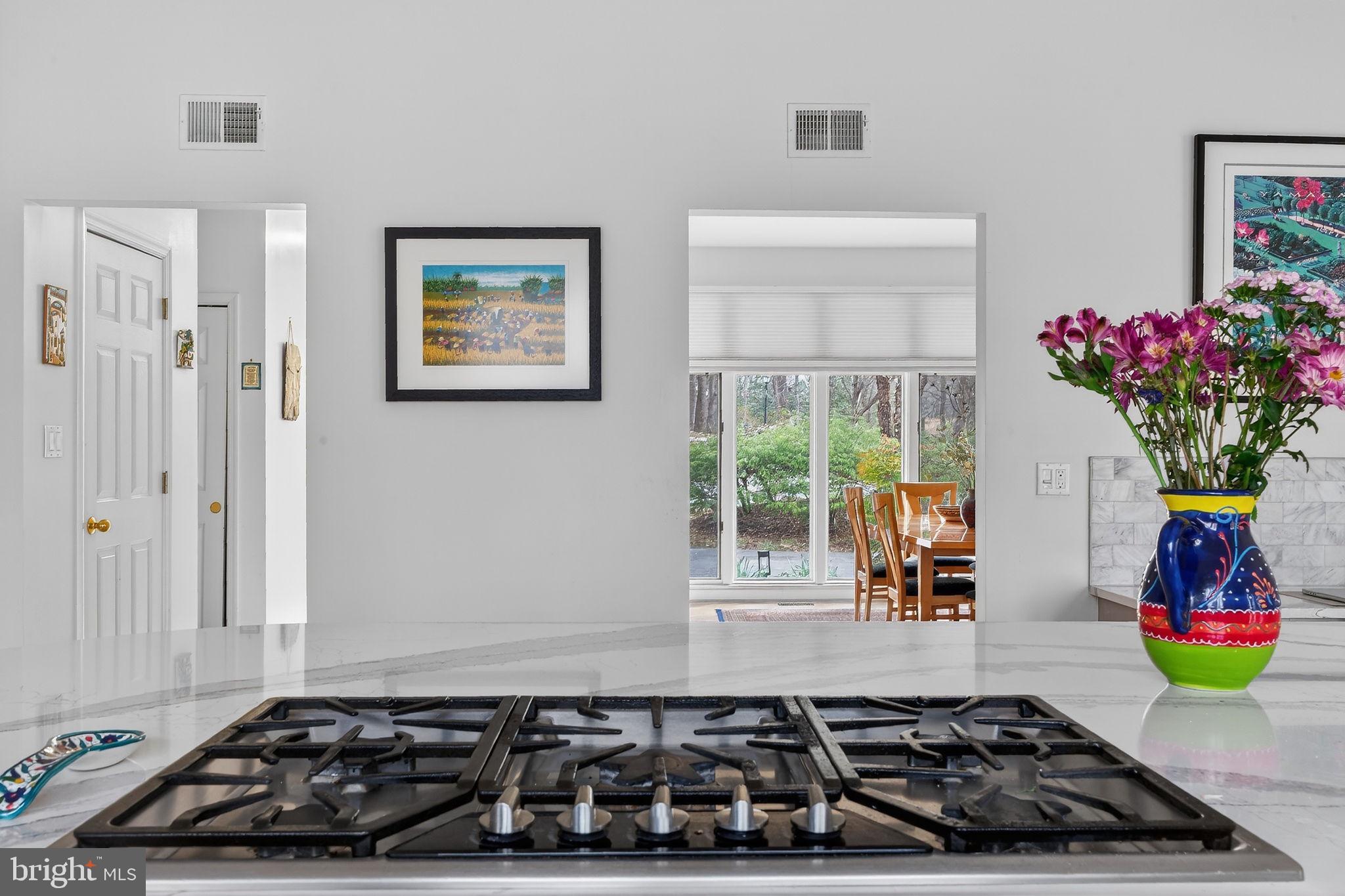 2 LAKE POTOMAC COURT