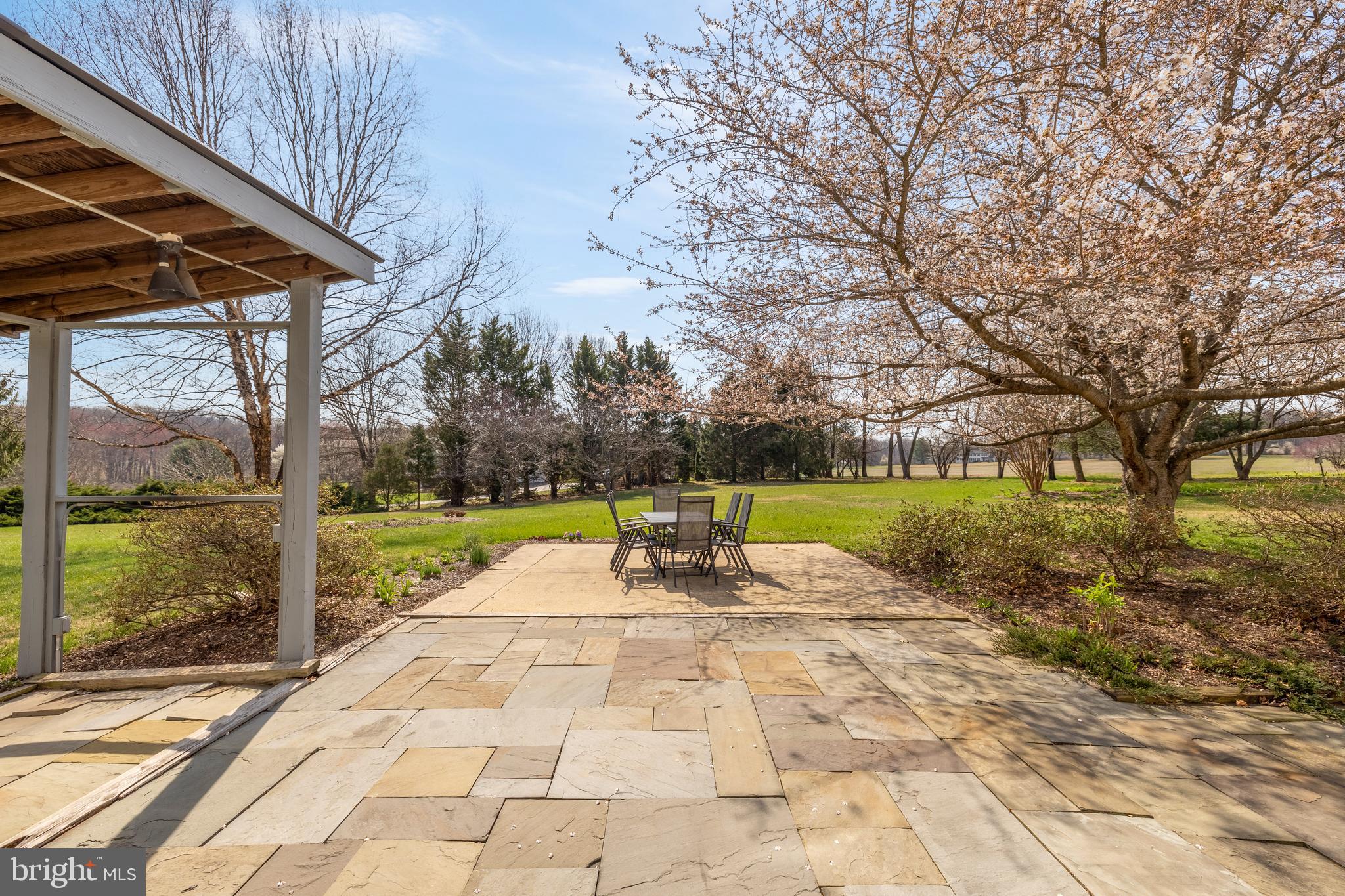 20407 PEACH TREE ROAD