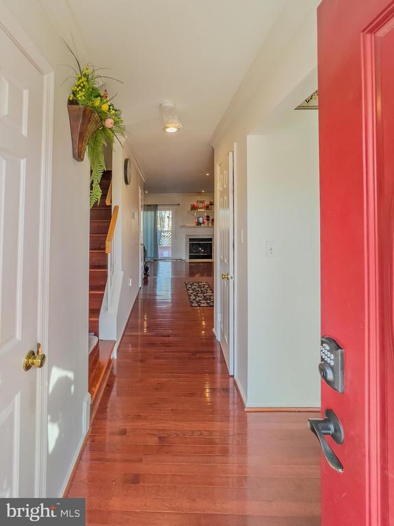 14316 Bonnett Ln