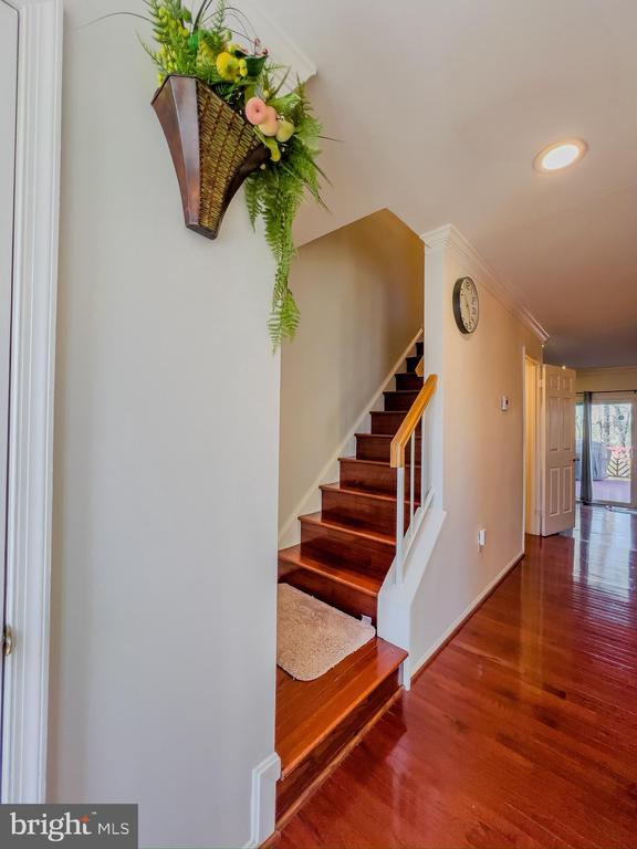 14316 Bonnett Ln