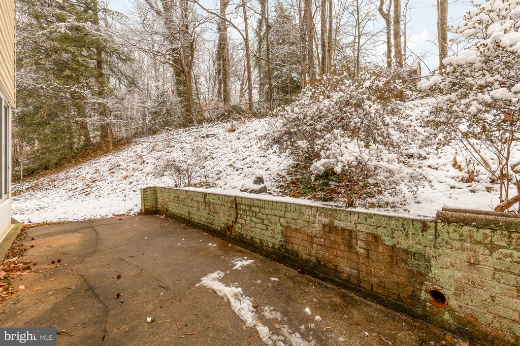 118 WHITE BIRCH COURT