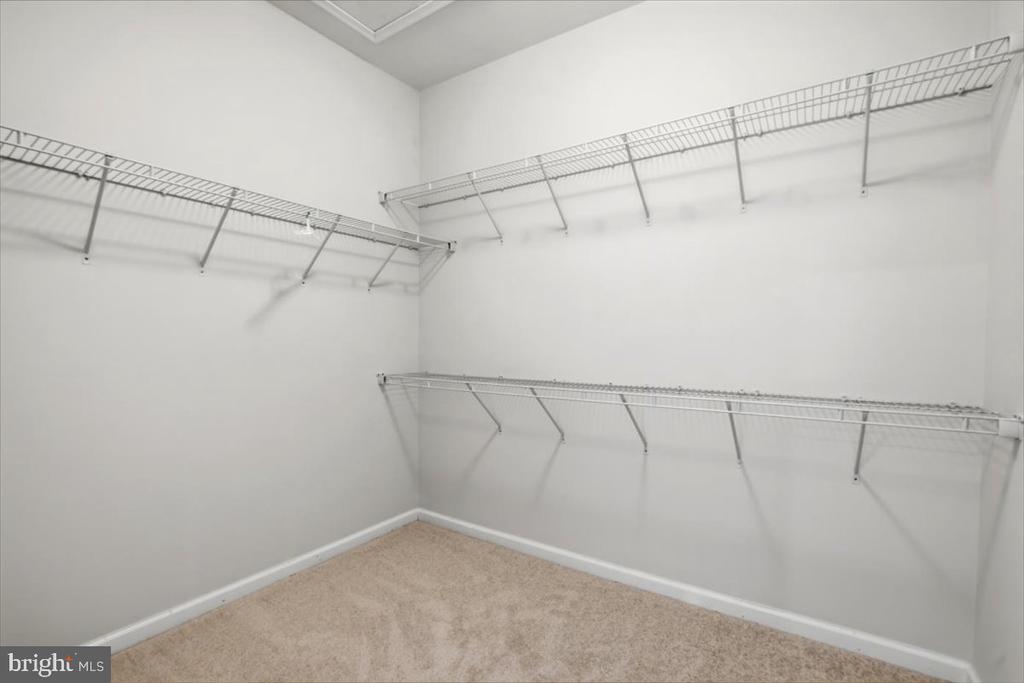 10102 DORSEY LANE