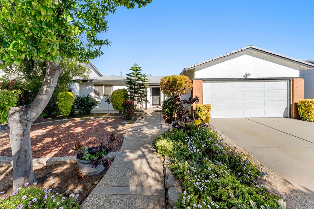 685 FARAONE Drive