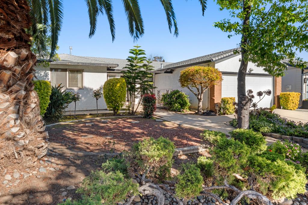 685 FARAONE Drive