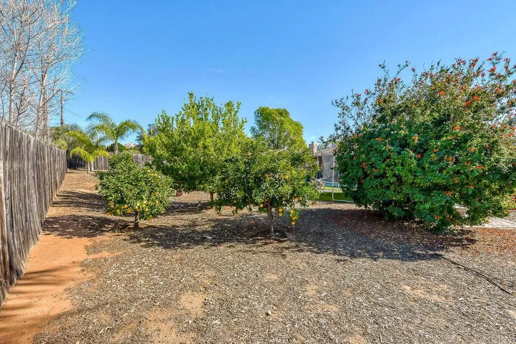 2918 Viejas View Place