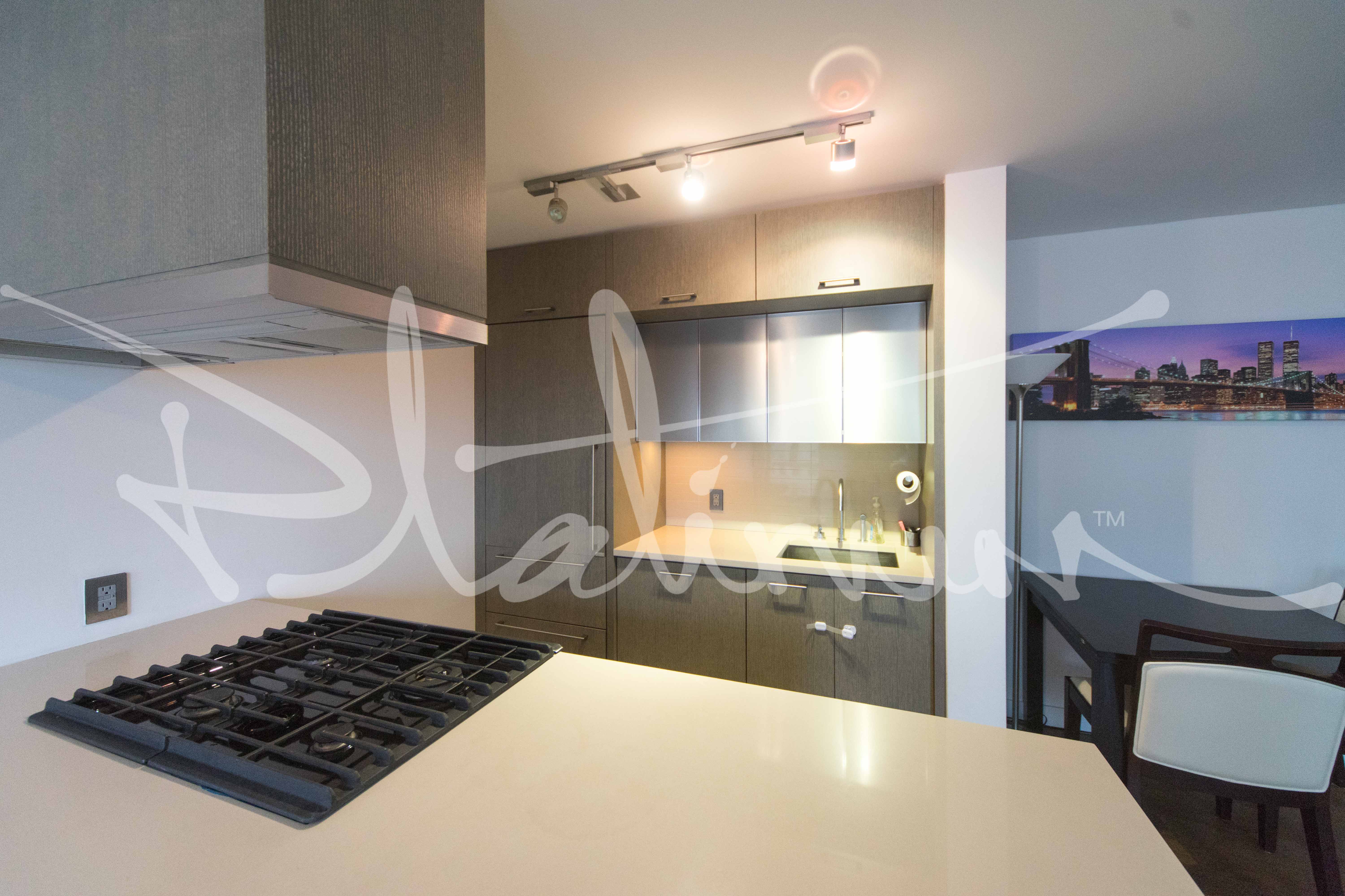 225 Rector Pl Unit: PH2F