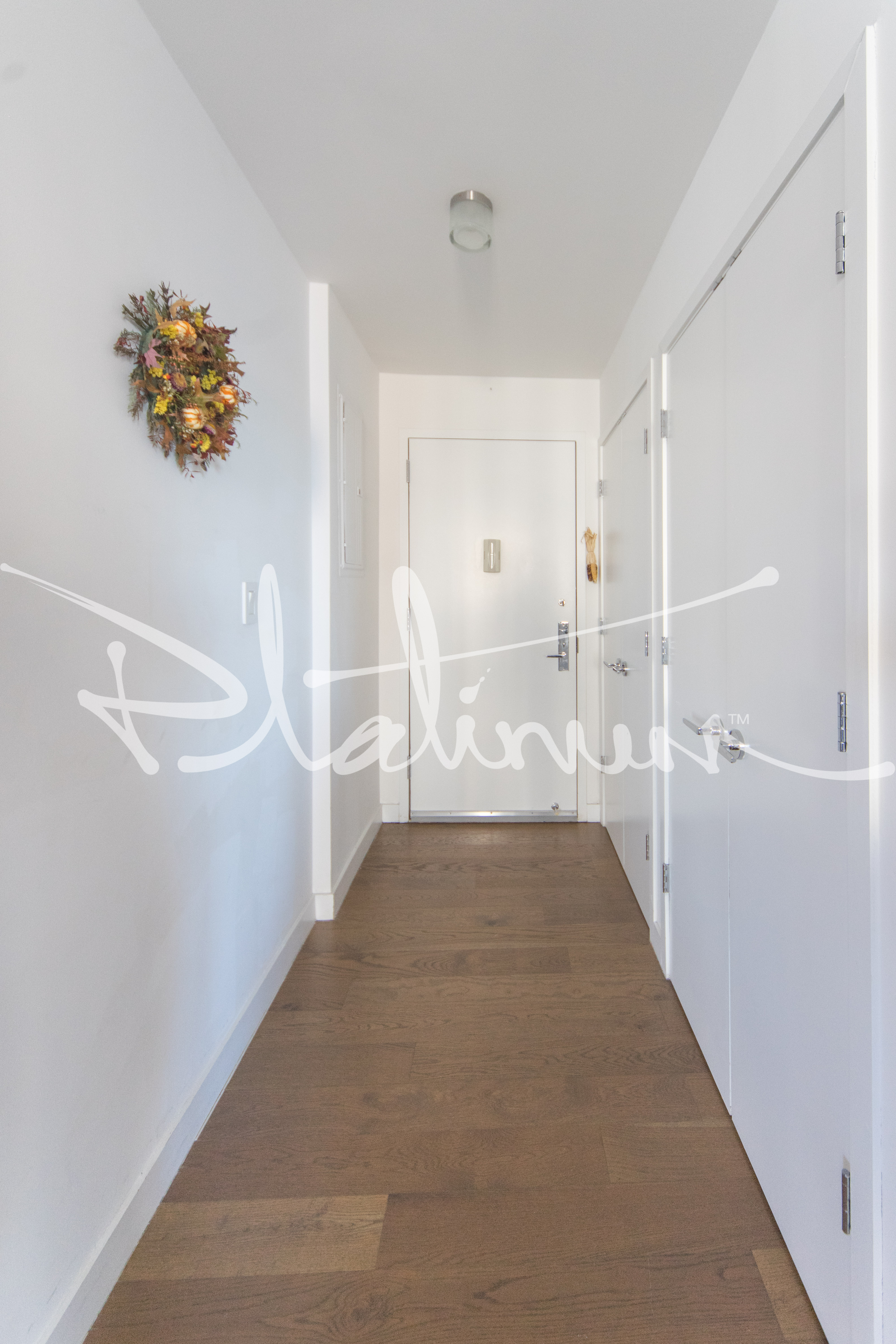 225 Rector Pl Unit: PH2F
