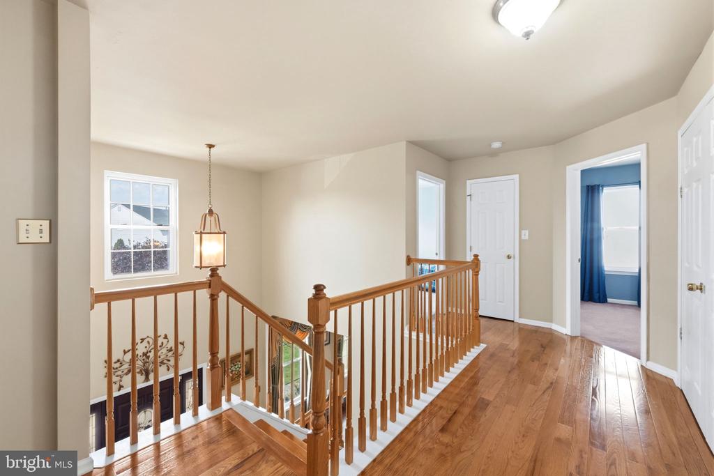 17 PADDOCK ROAD