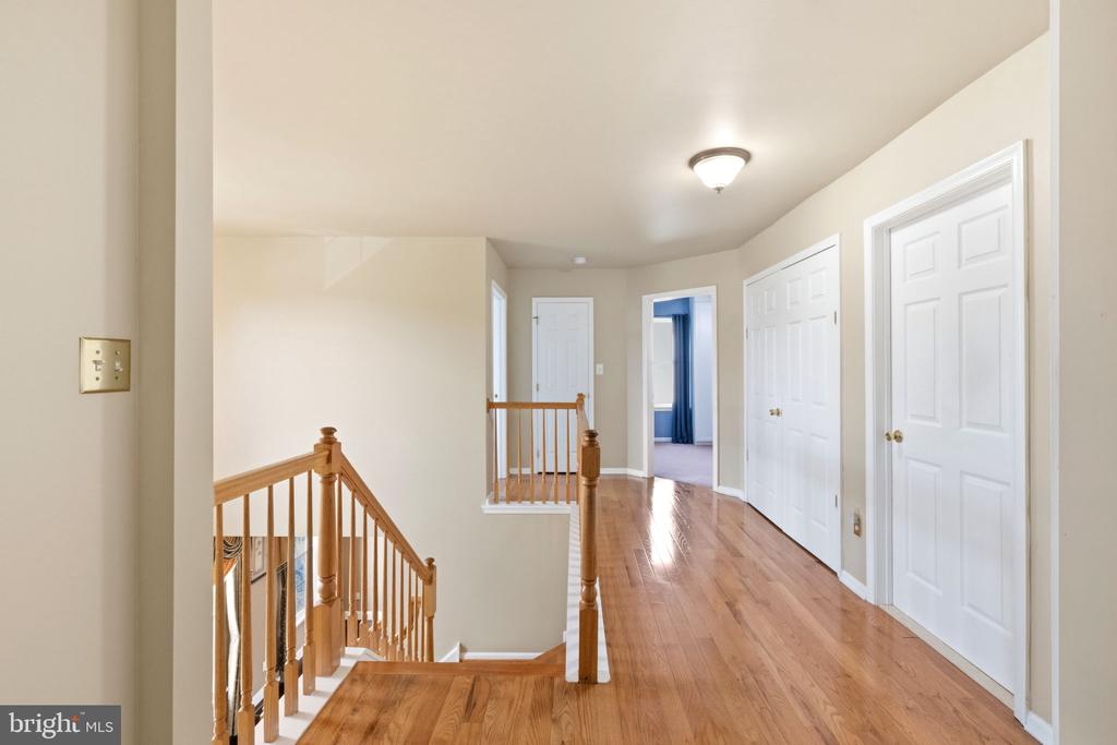 17 PADDOCK ROAD