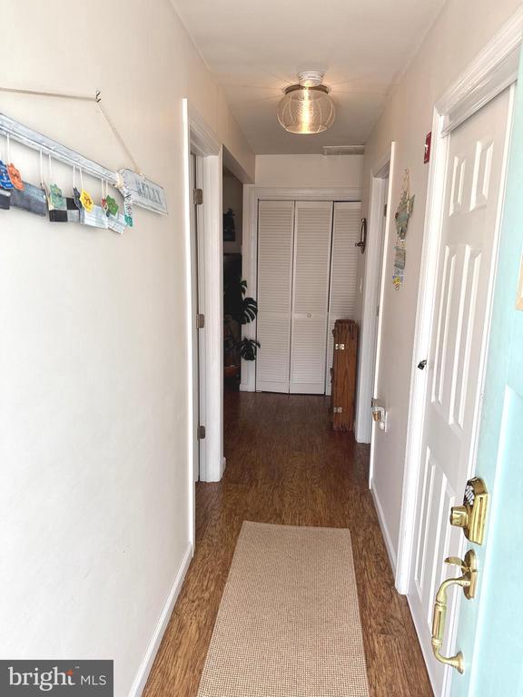57 Albert Dr
