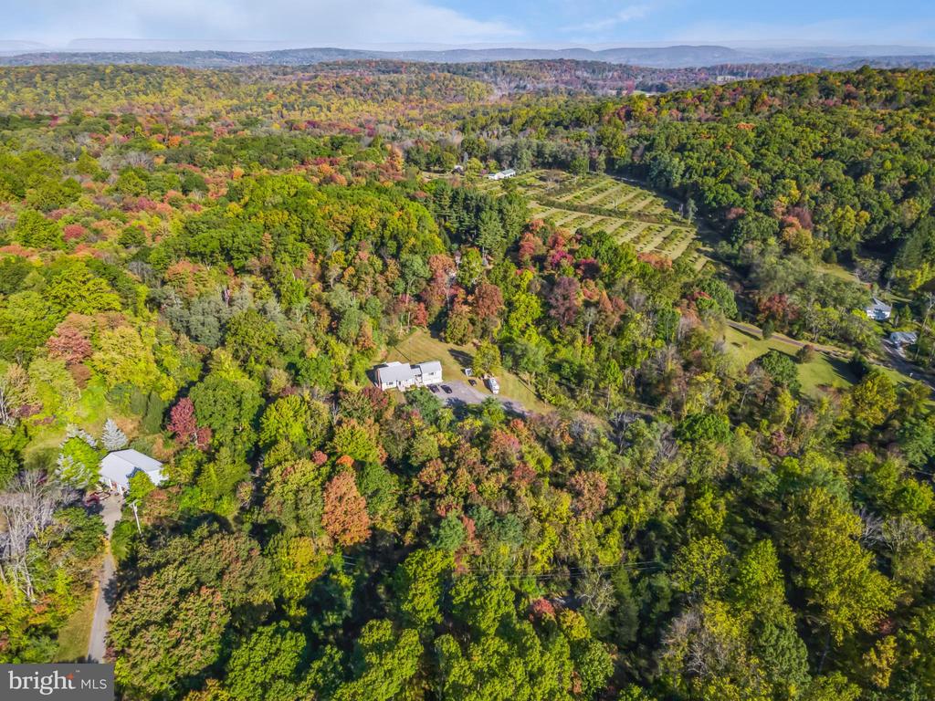 123 SNYDER ROAD