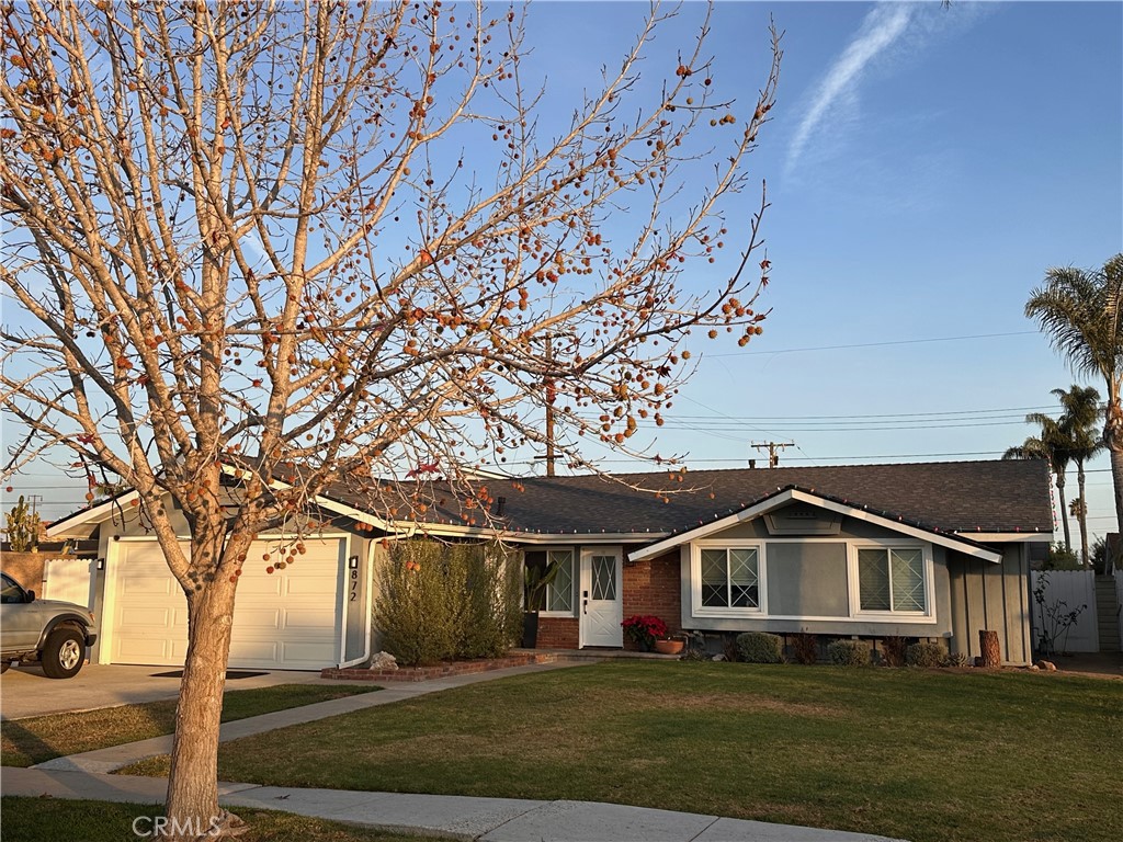 872 Senate Street