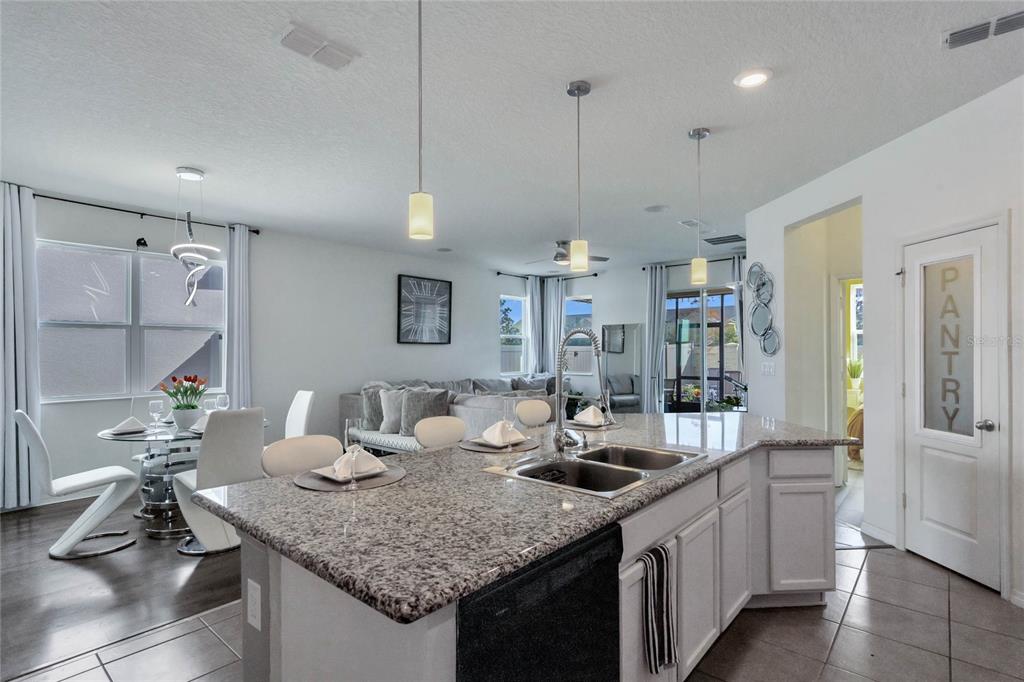 2588 NEEDLEPOINT STREET