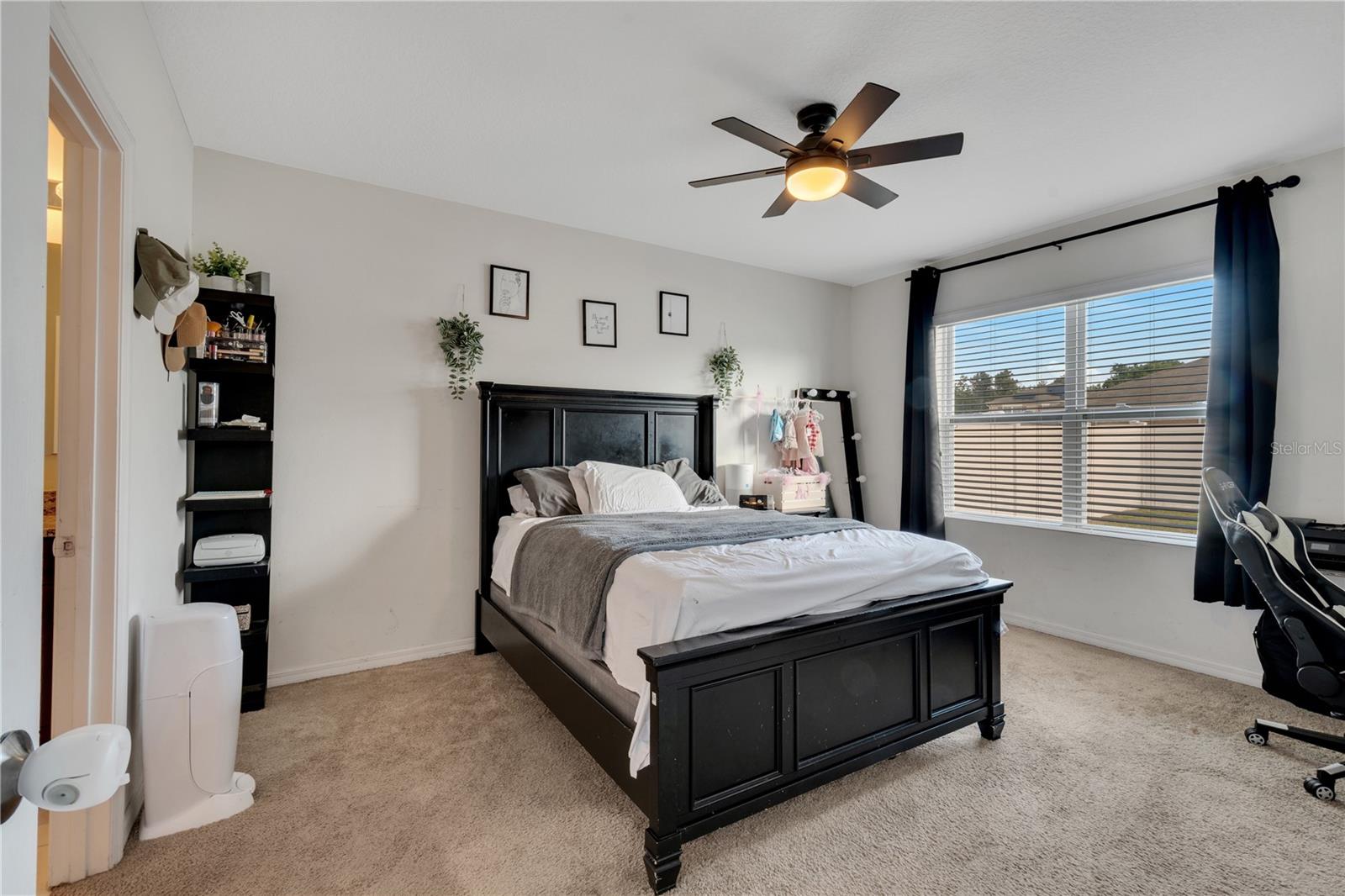 329 BRIAR PATCH LOOP