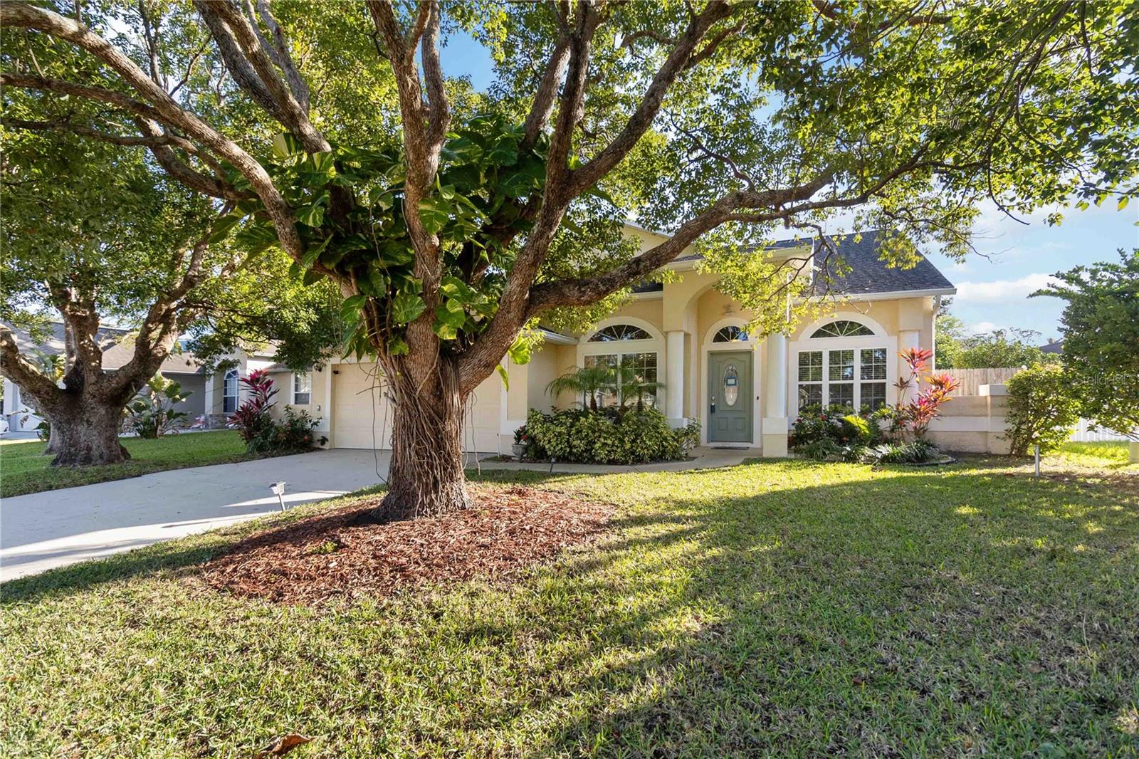1105 HACKBERRY DR