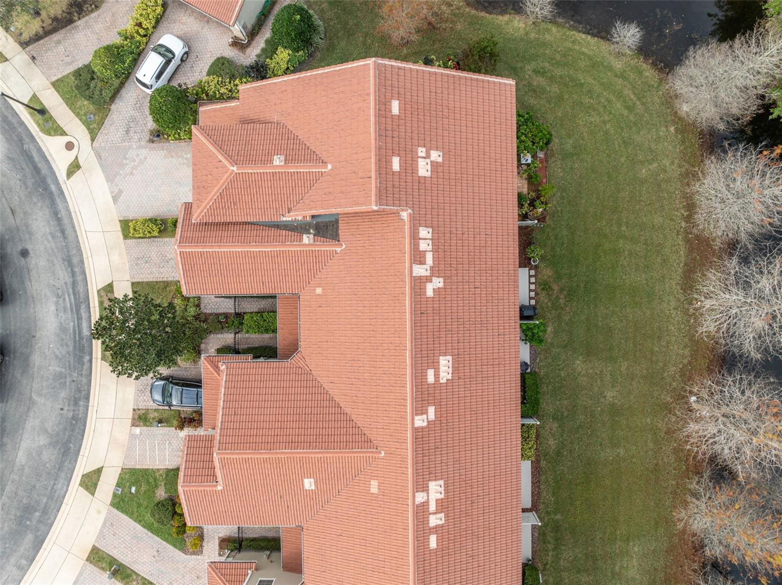 196 CANTERBURY BELL DR