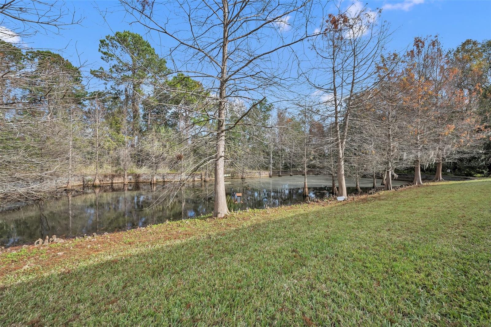196 CANTERBURY BELL DR