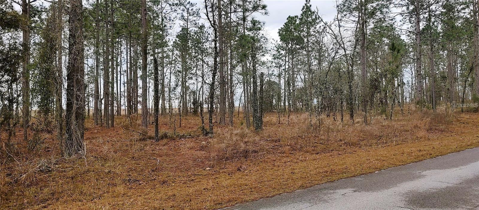 00 NW BUENA VISTA RD