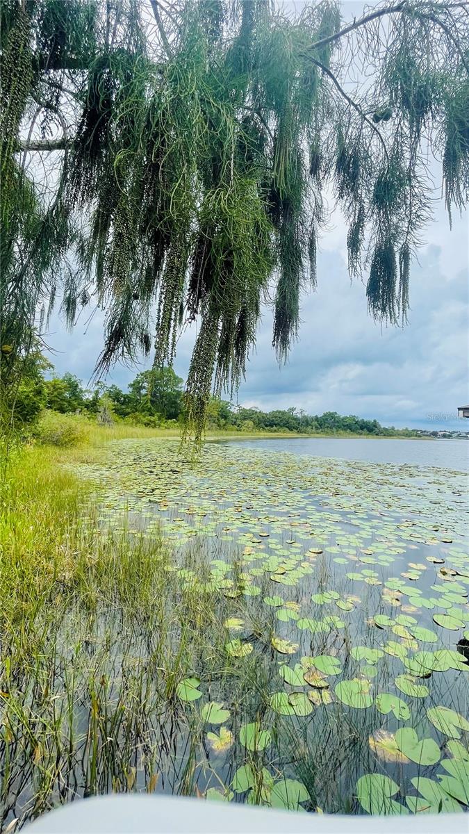 13106 ORANGE ISLE DR