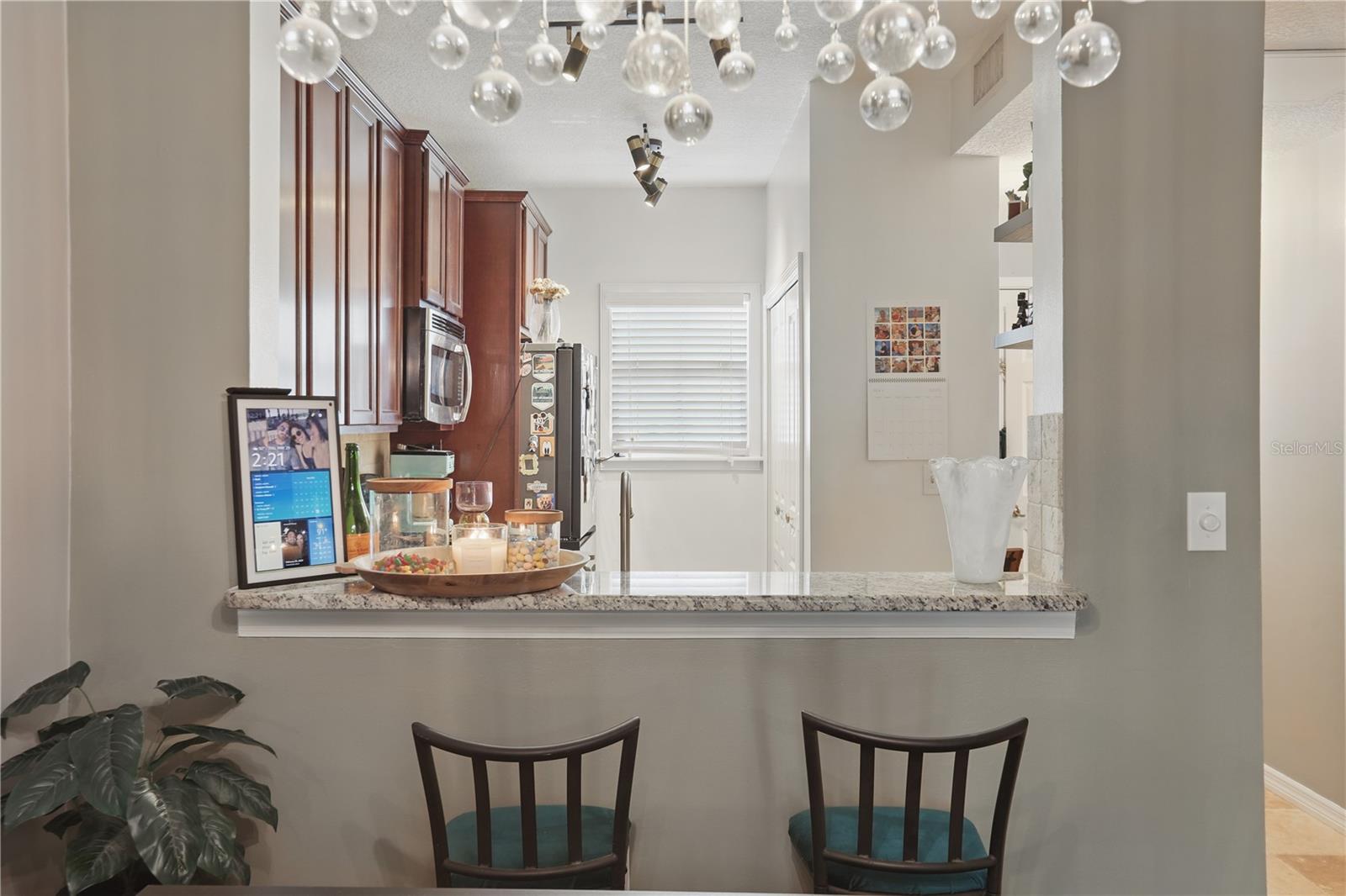 720 CELEBRATION AVE #245