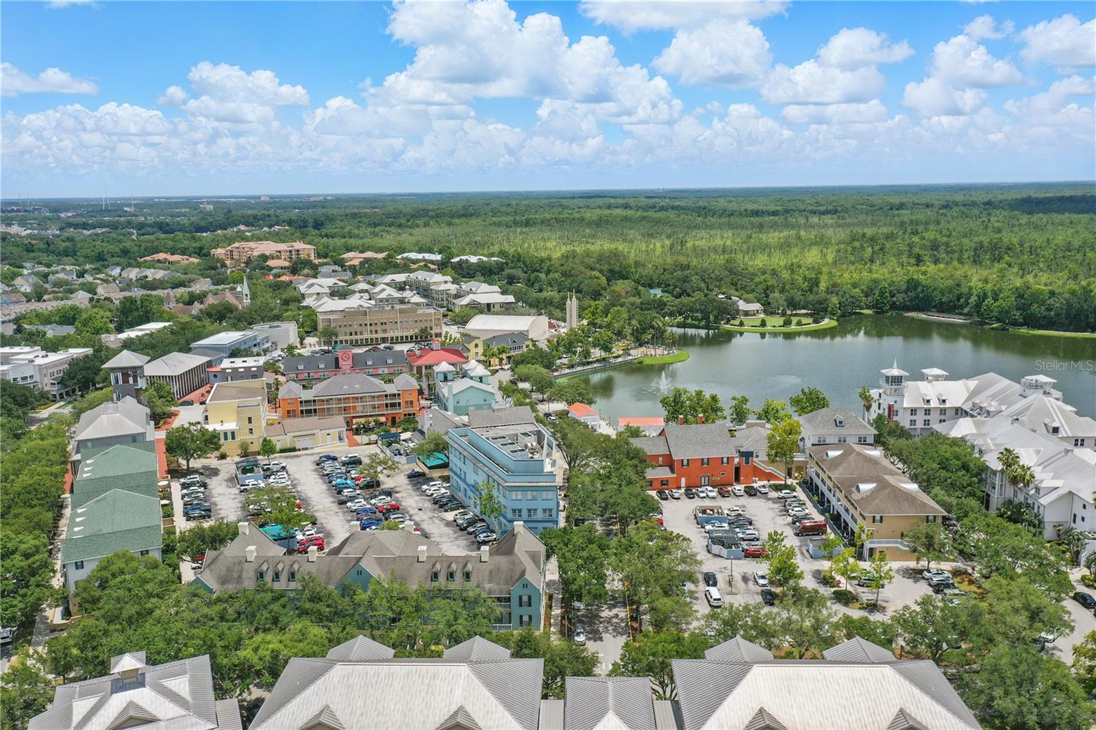 720 CELEBRATION AVE #245