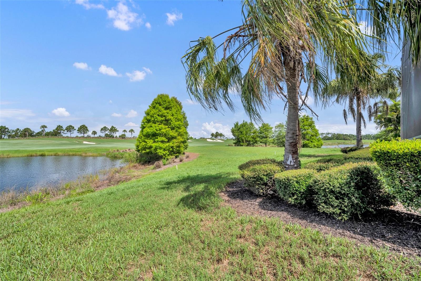 5531 ARNIE LOOP