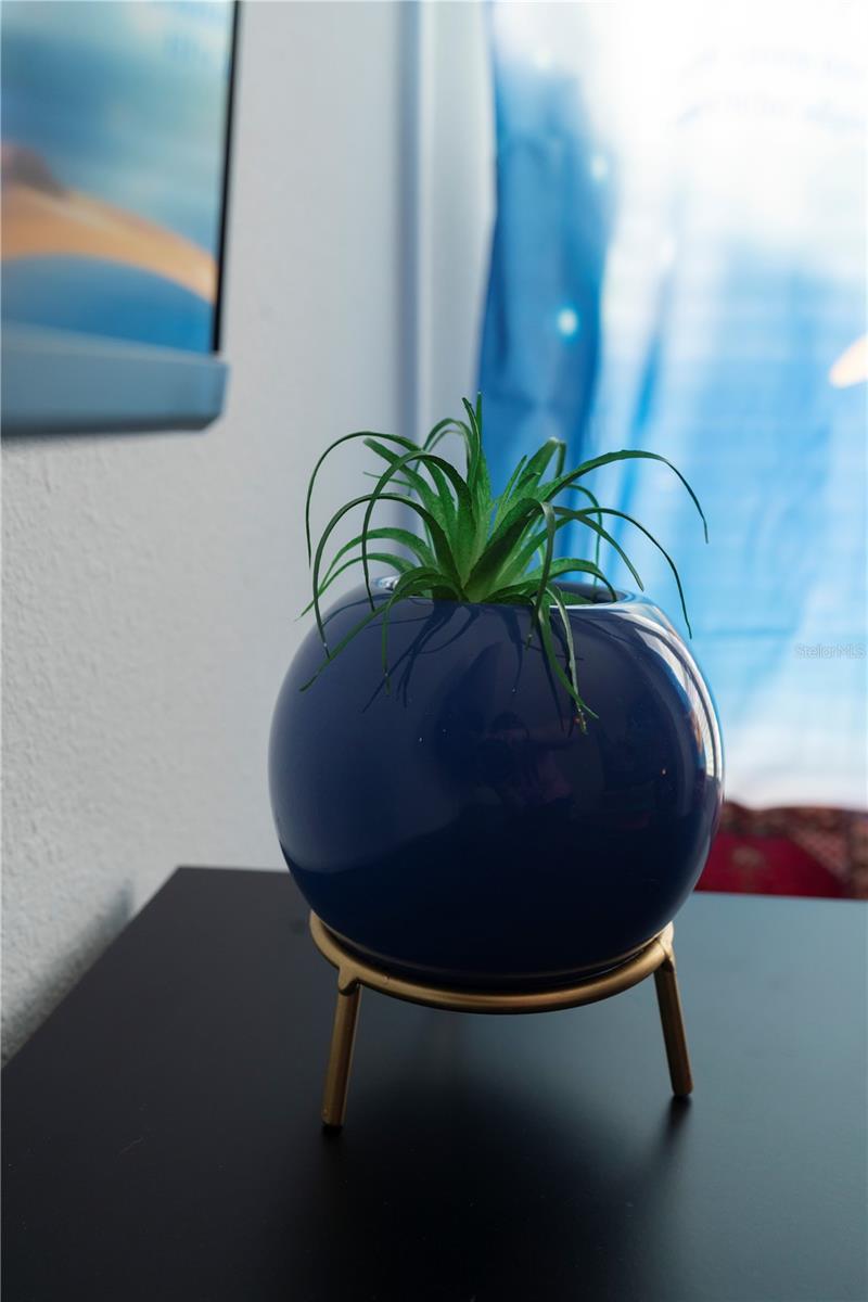 8981 AMELIA DOWNS TRL