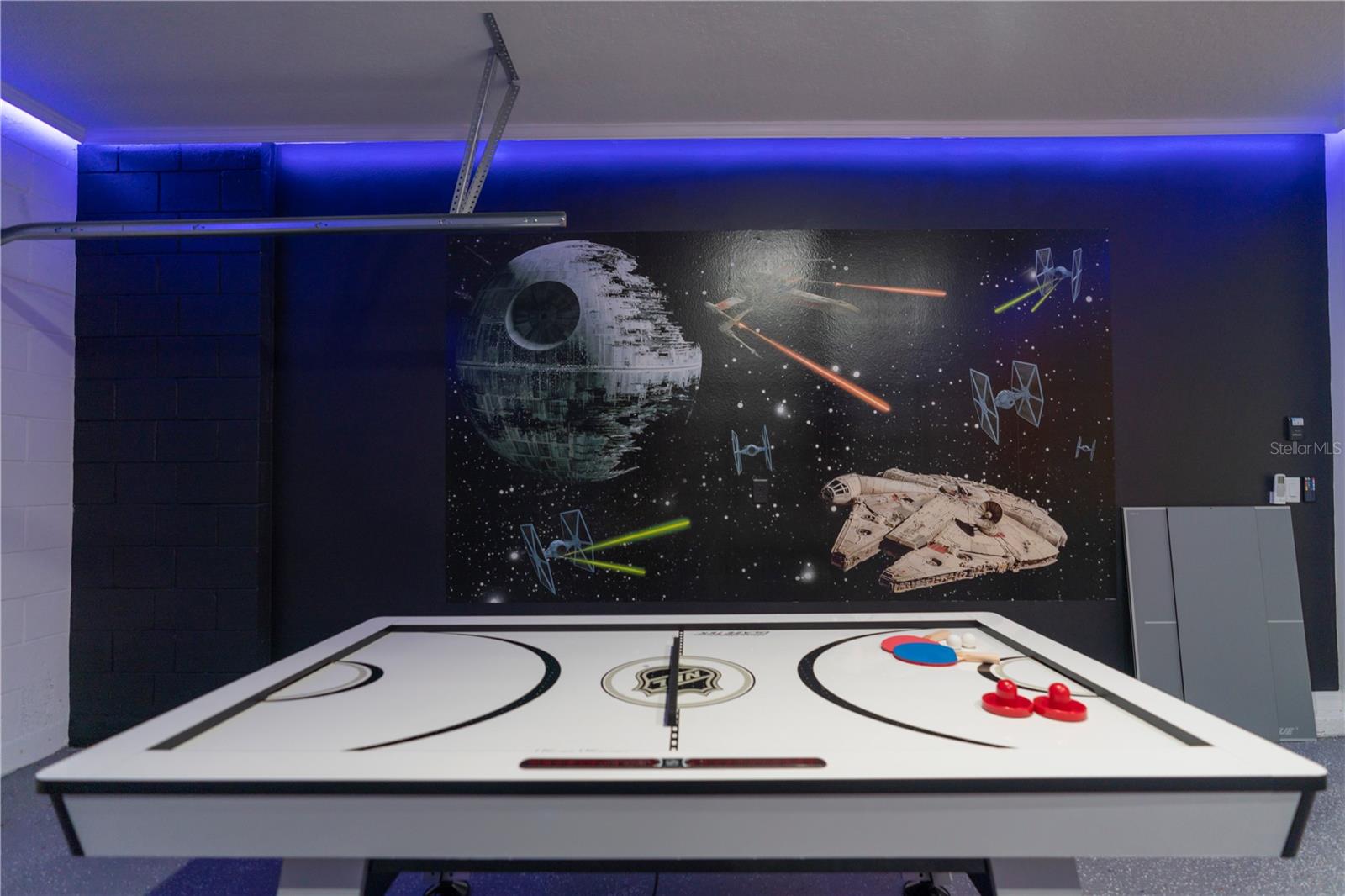 8981 AMELIA DOWNS TRL