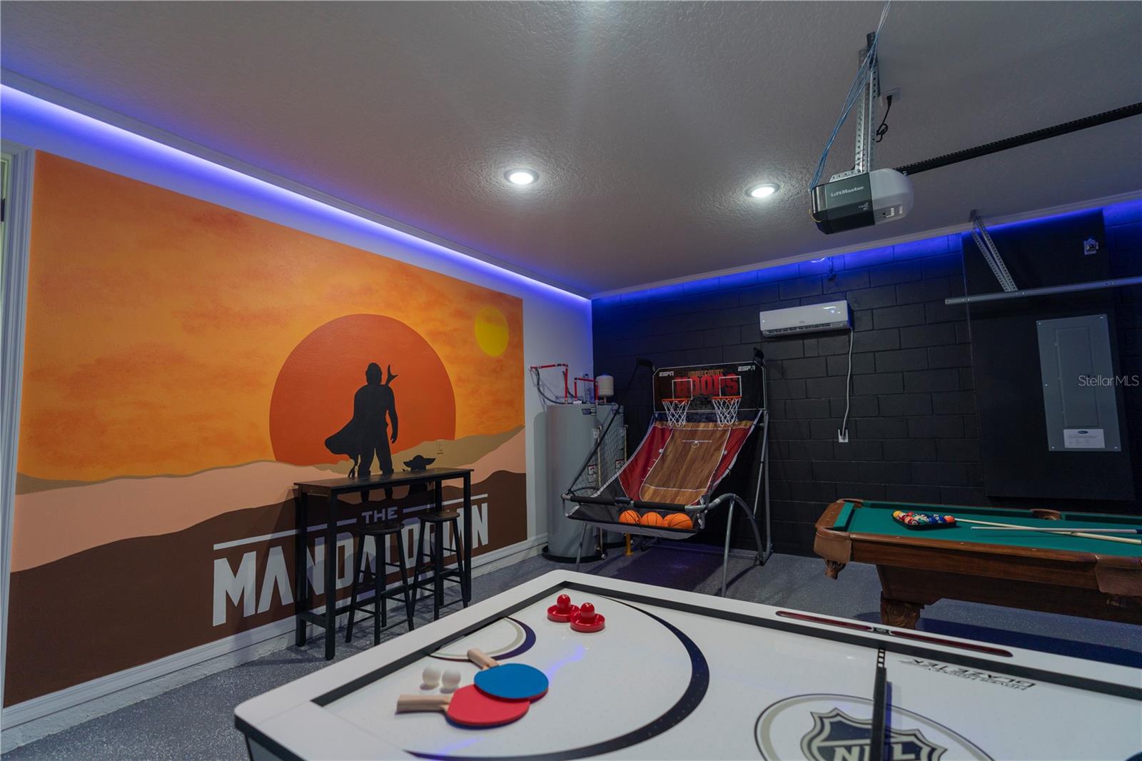 8981 AMELIA DOWNS TRL