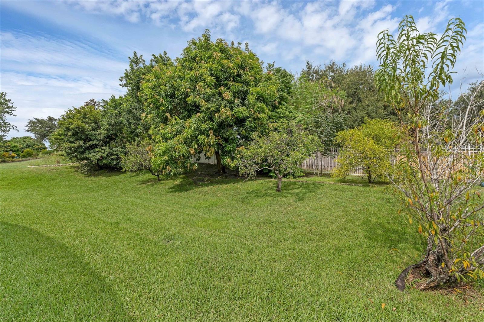 10708 BELO HORIZONTE AVE