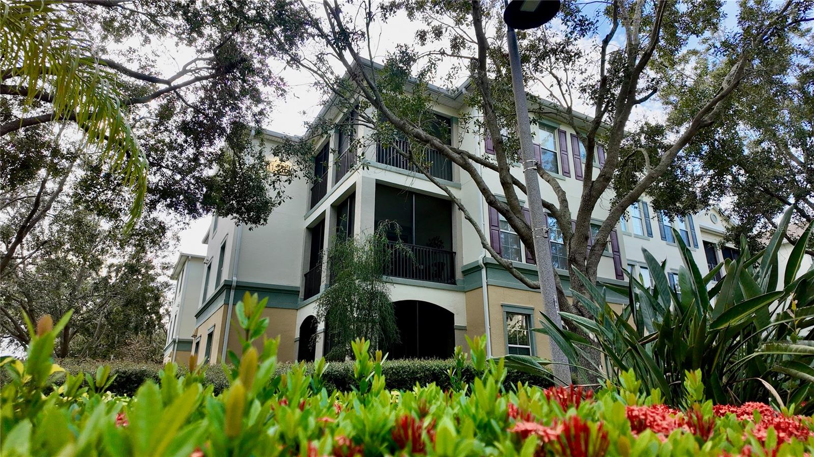 11565 MIZZON DR #208