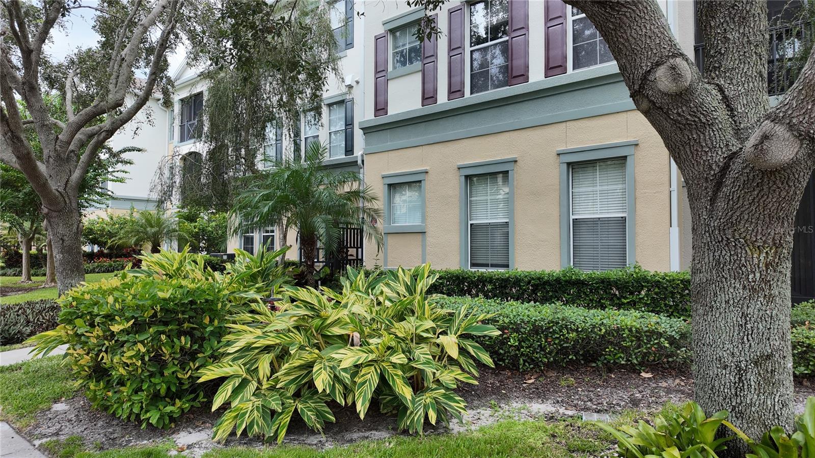 11565 MIZZON DR #208