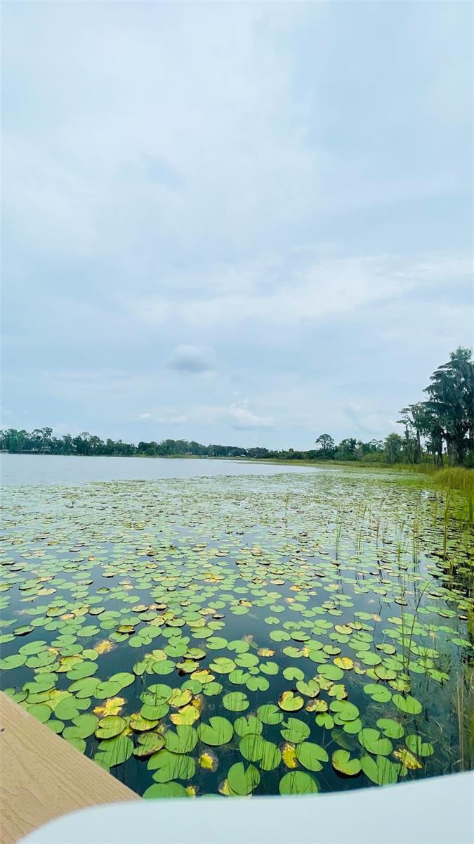 13106 ORANGE ISLE DR