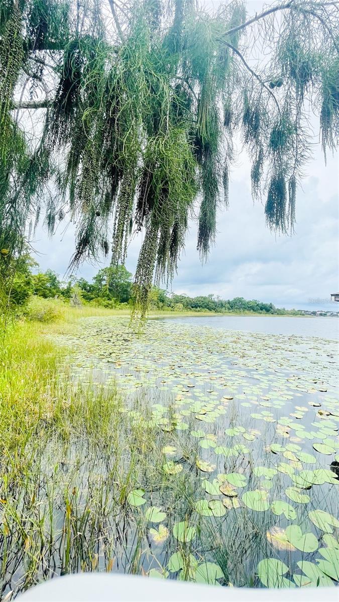 13106 ORANGE ISLE DR