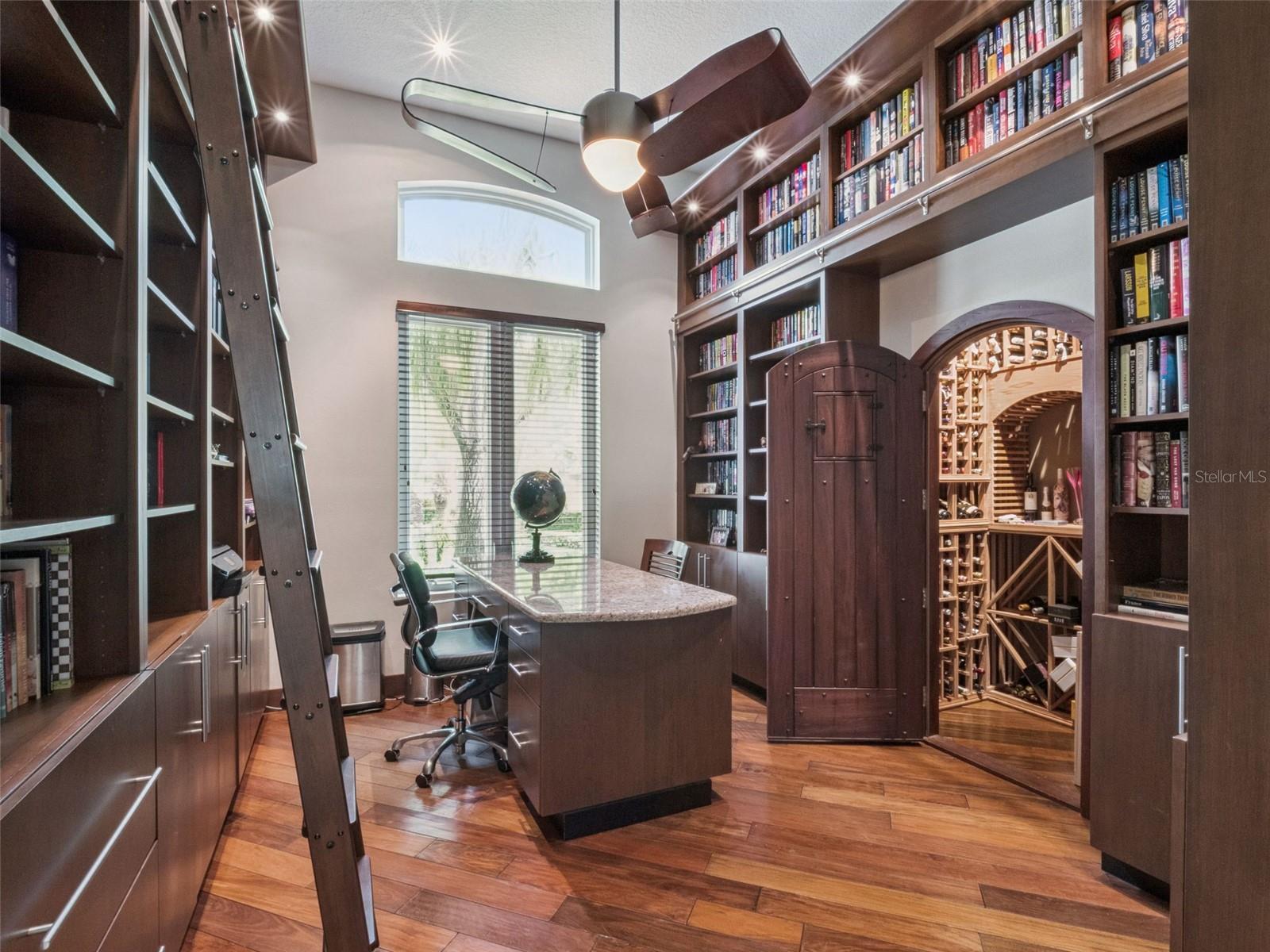 1724 WINDERMEREDOWN PL