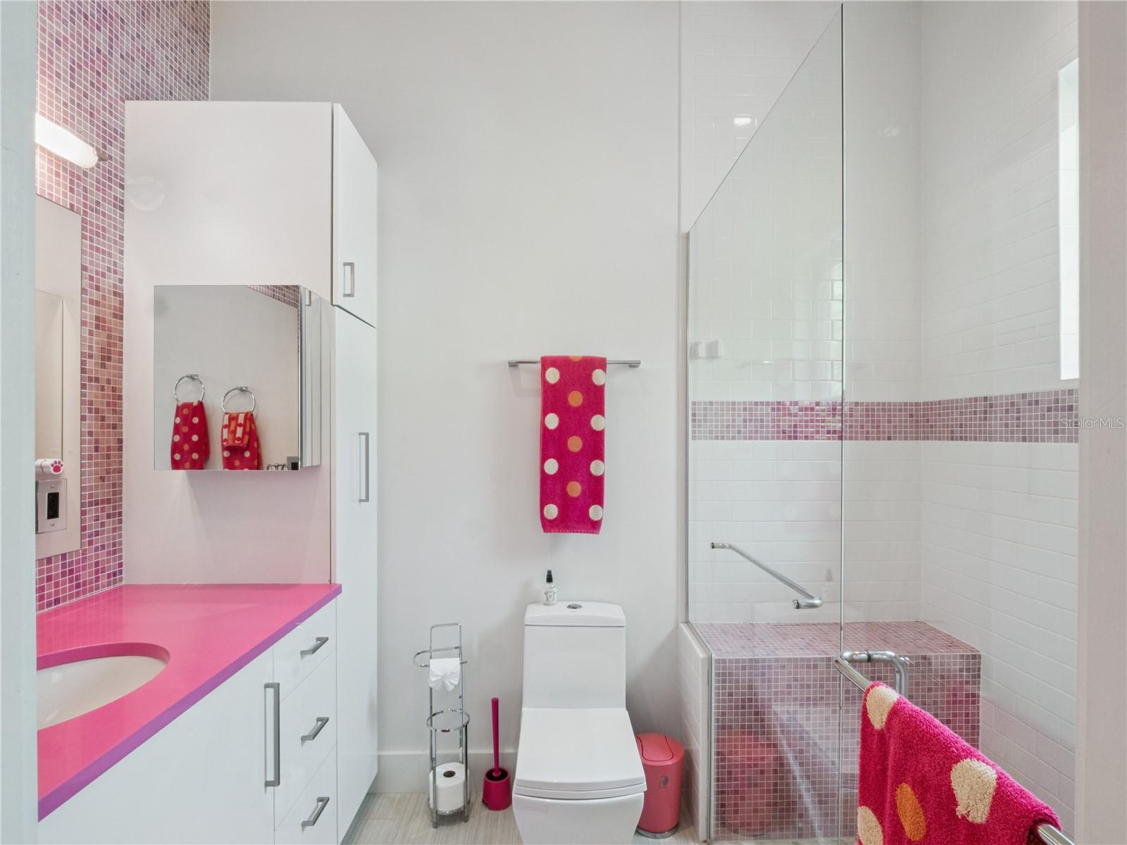 1724 WINDERMEREDOWN PL