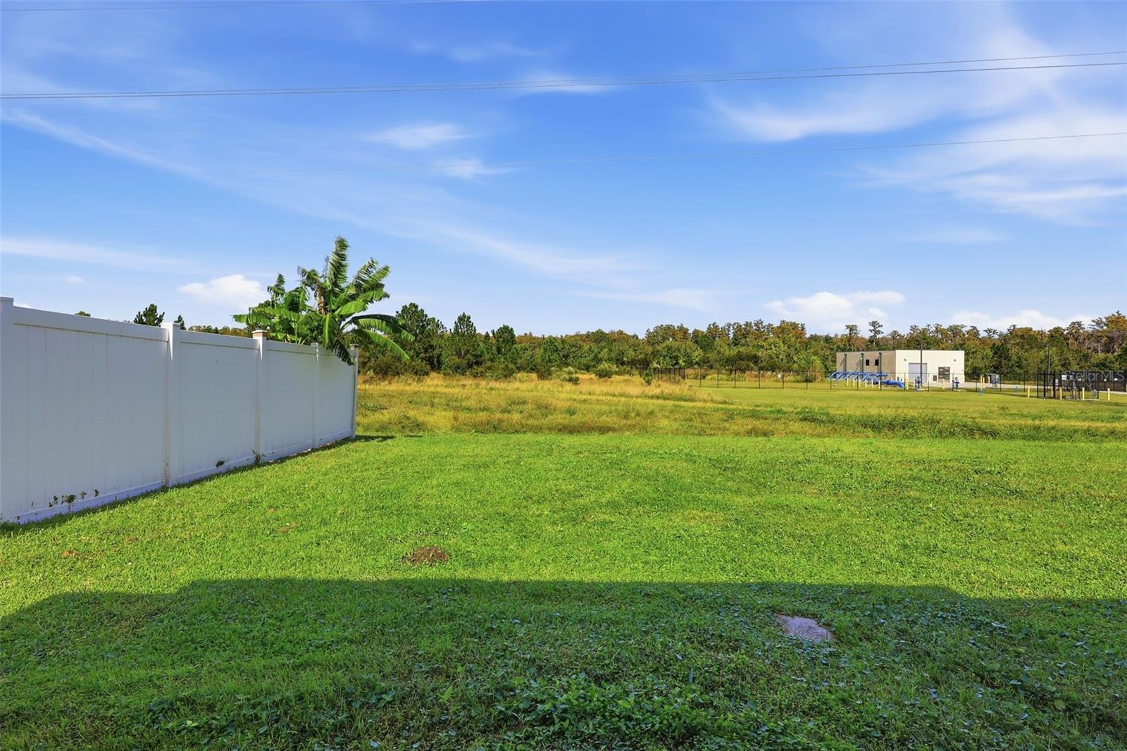 2275 VICTORIA FALLS DR