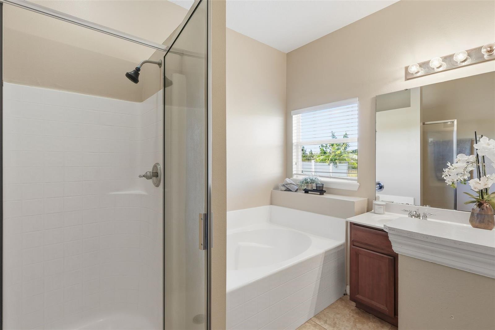 2275 VICTORIA FALLS DR