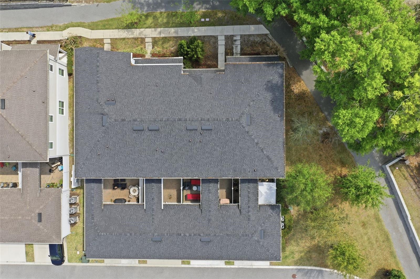 2117 GOPHER TORTOISE TER