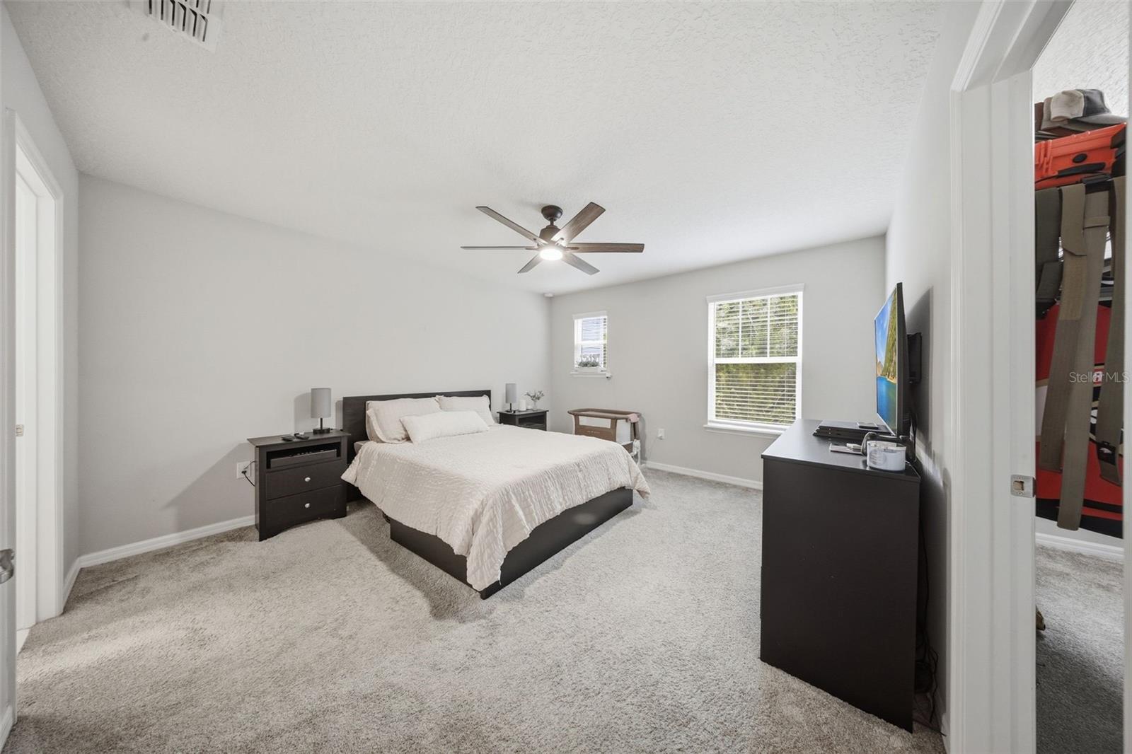 2117 GOPHER TORTOISE TER