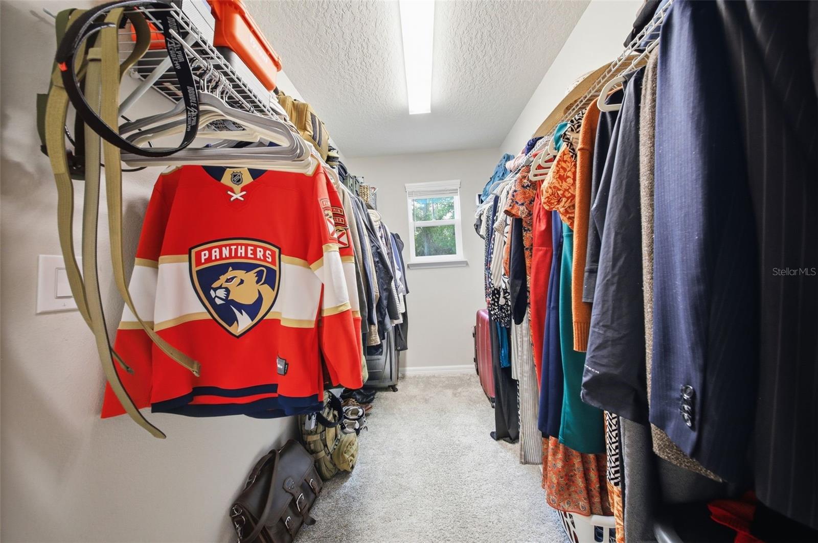 2117 GOPHER TORTOISE TER