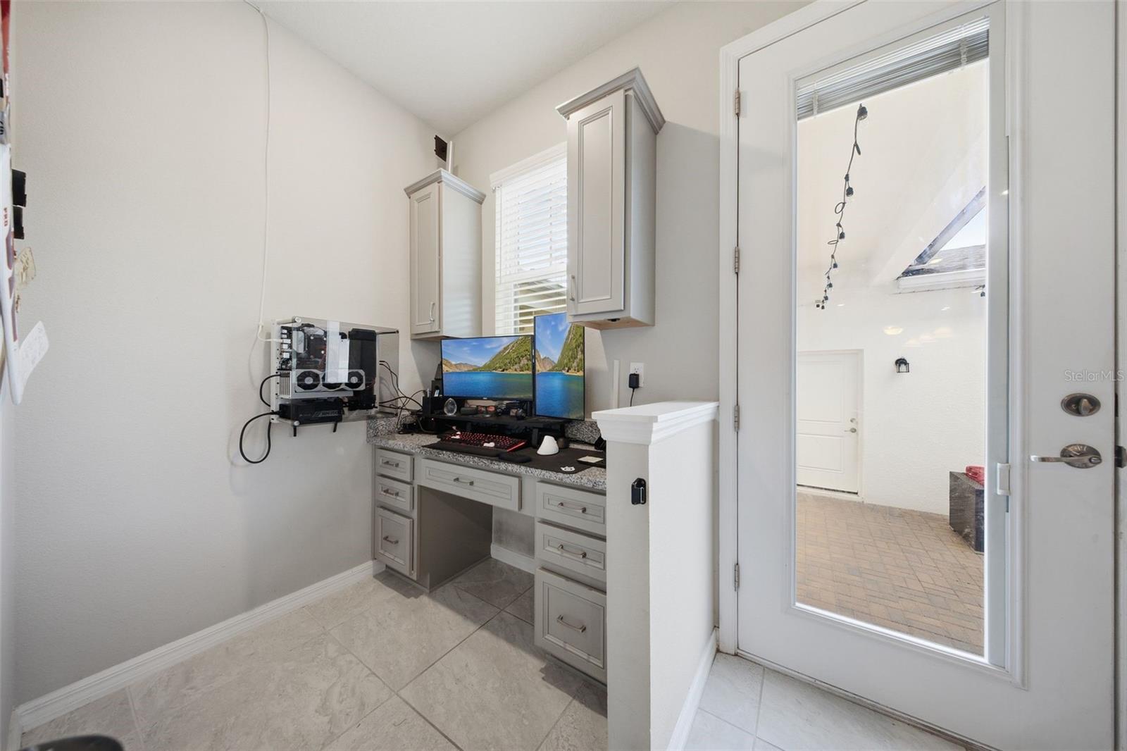 2117 GOPHER TORTOISE TER