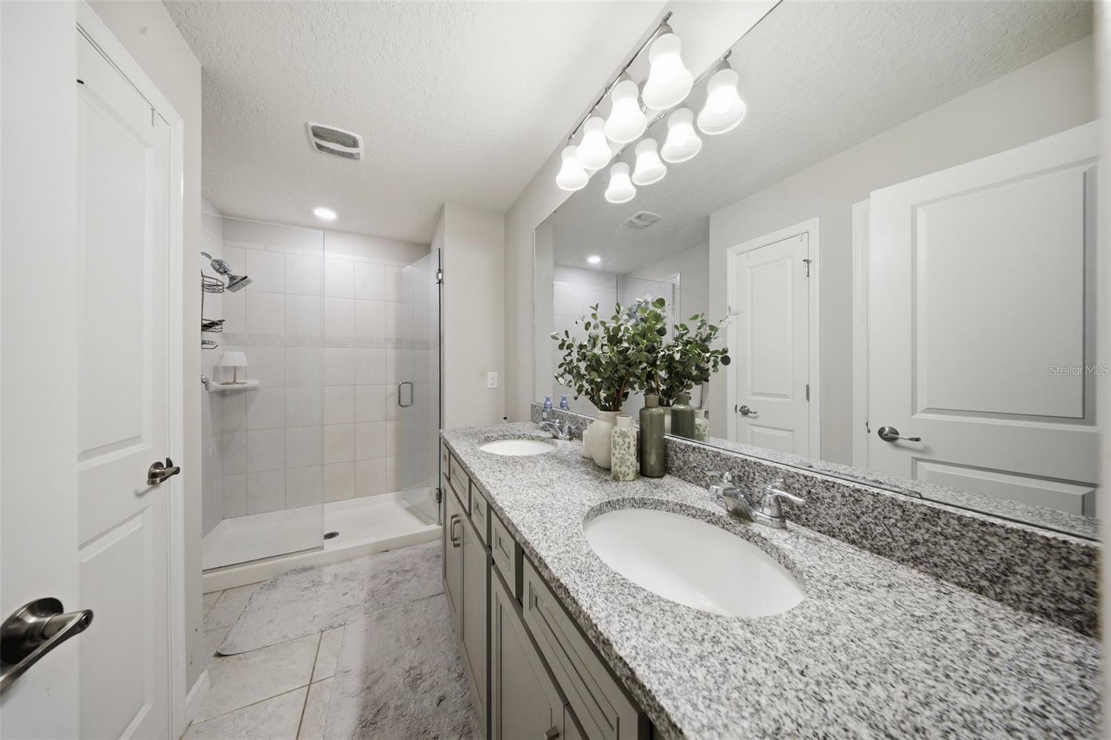 2117 GOPHER TORTOISE TER