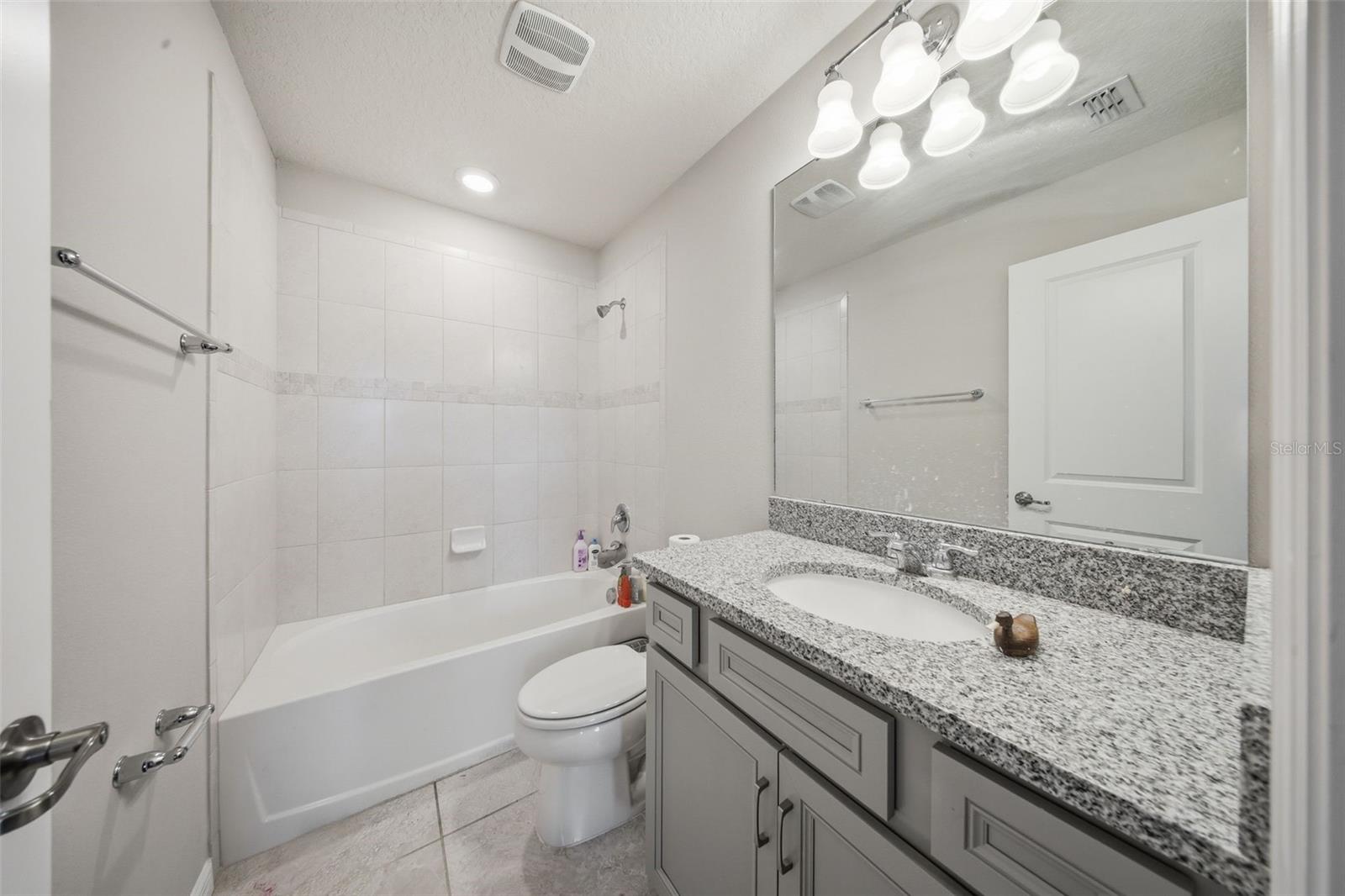 2117 GOPHER TORTOISE TER