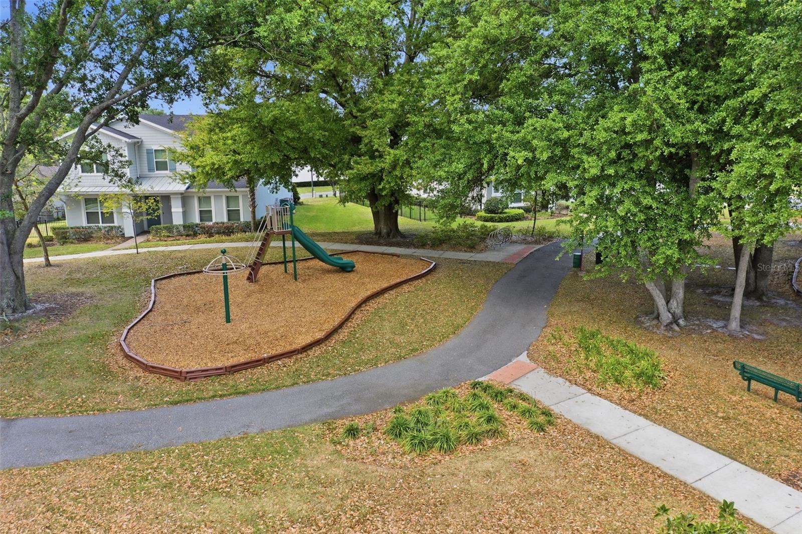 2117 GOPHER TORTOISE TER