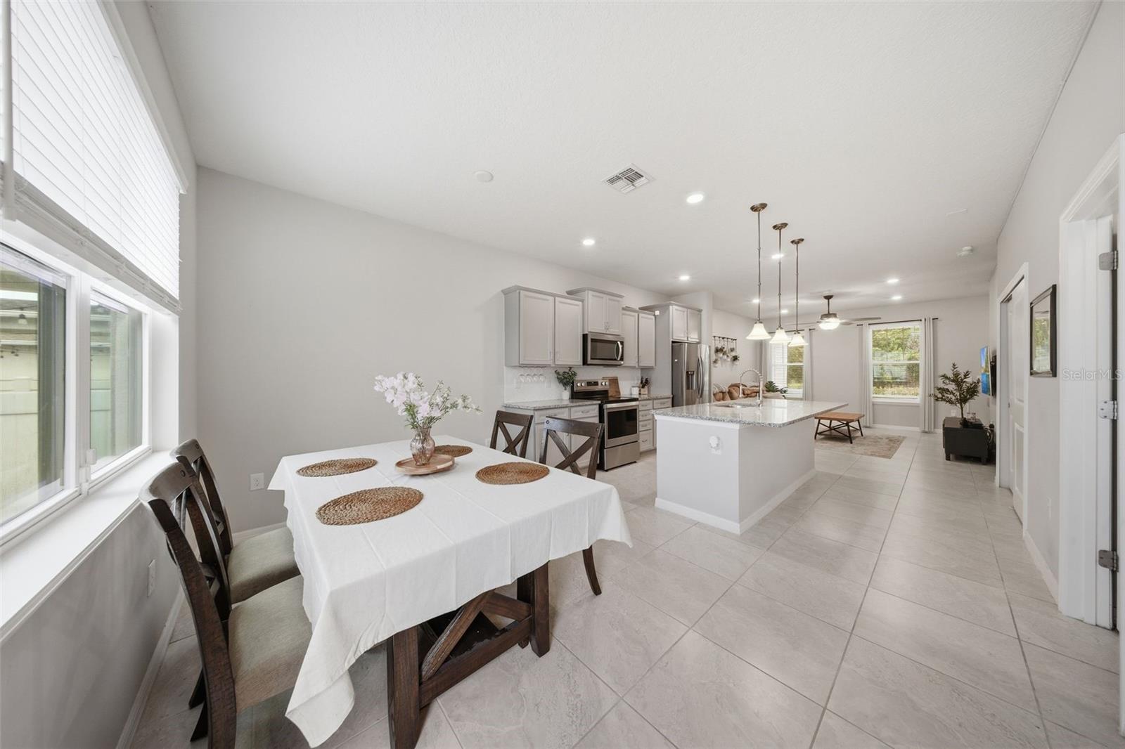 2117 GOPHER TORTOISE TER